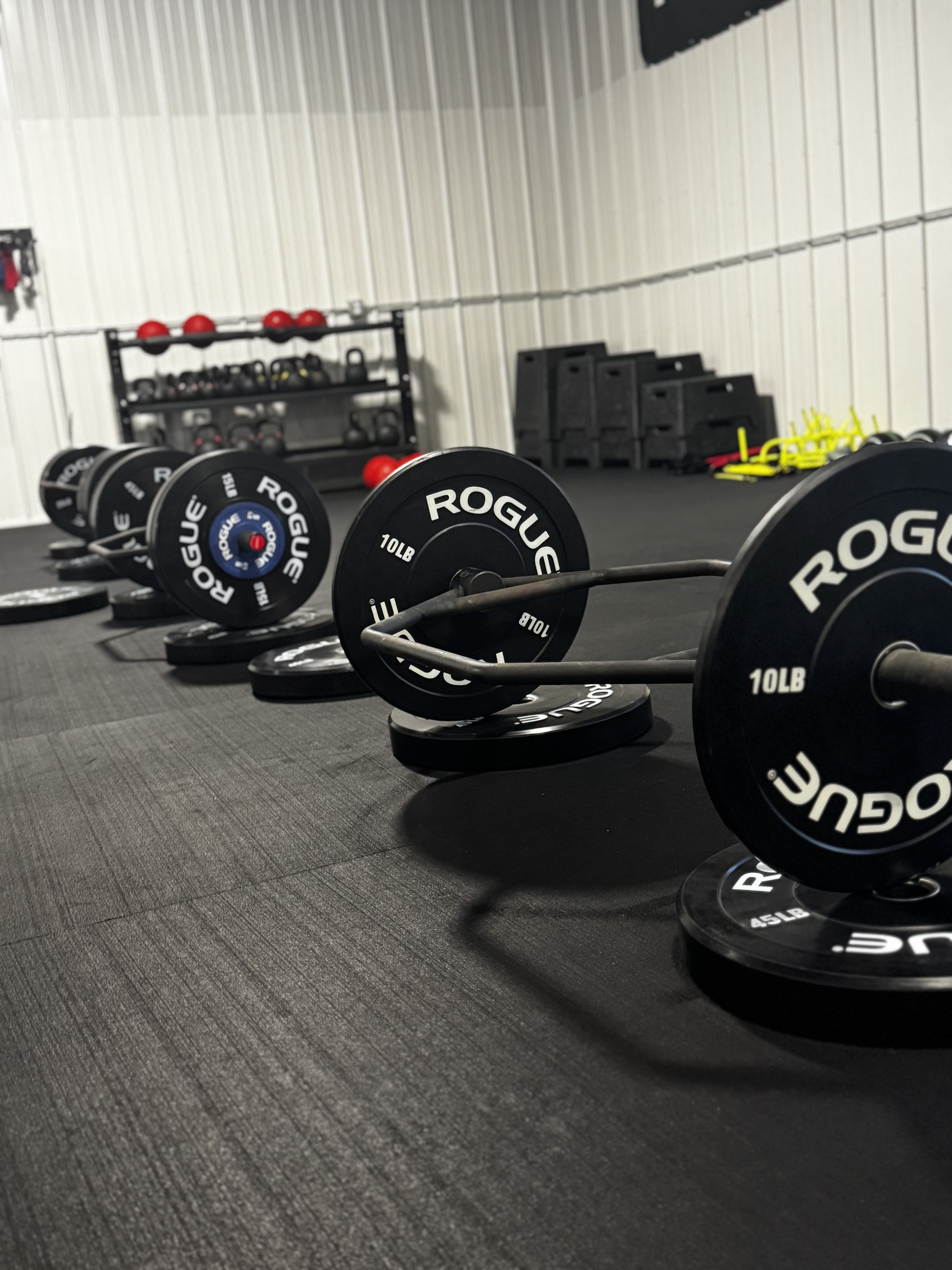 A shot of the interior of Edge Fitness